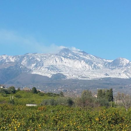 Tulipano 7 Daire Mascali Dış mekan fotoğraf